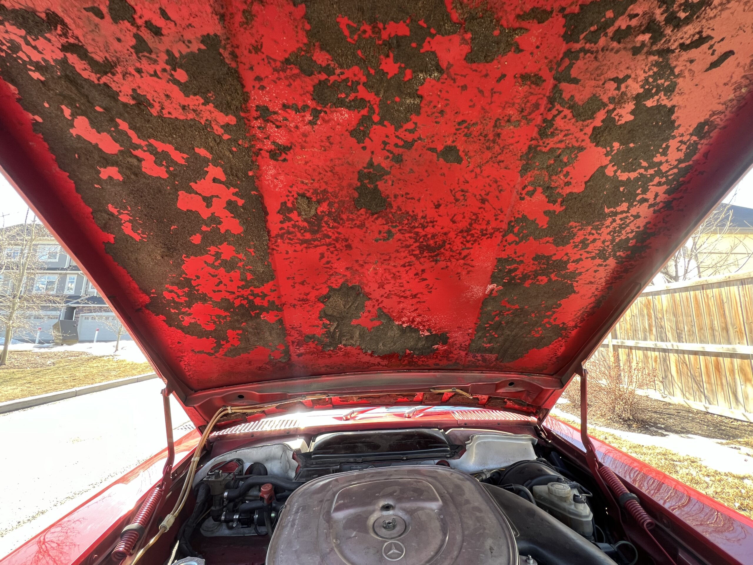 Photo 2024-03-18, 12 33 44 PM